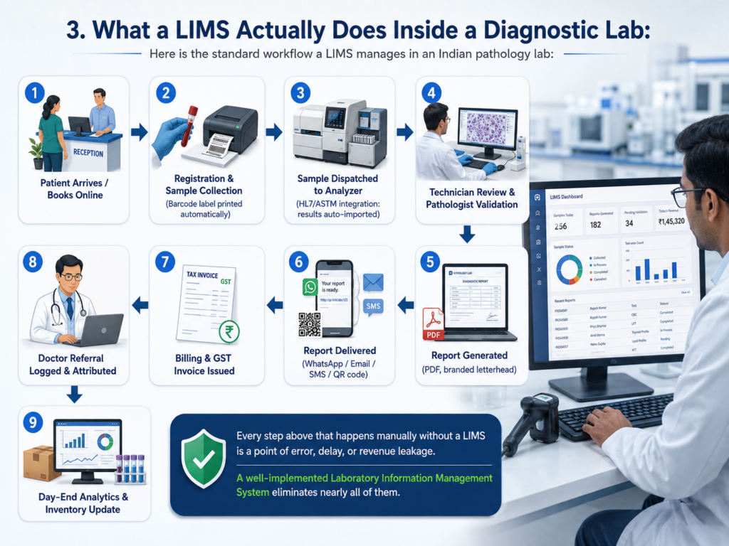 What a LIMS Actually Does Inside a Diagnostic Lab